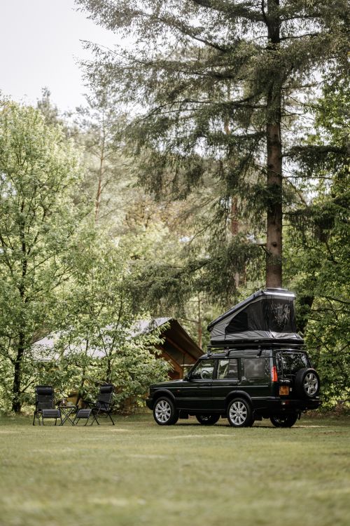 Gehuurde Land Rover in het bos